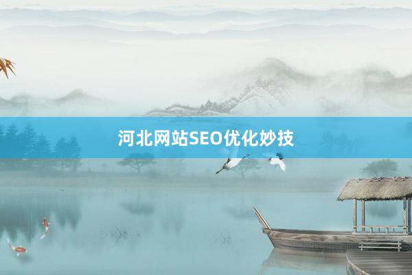 河北网站SEO优化妙技
