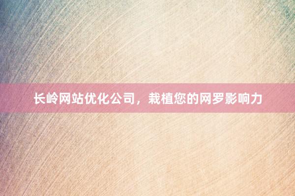 长岭网站优化公司，栽植您的网罗影响力