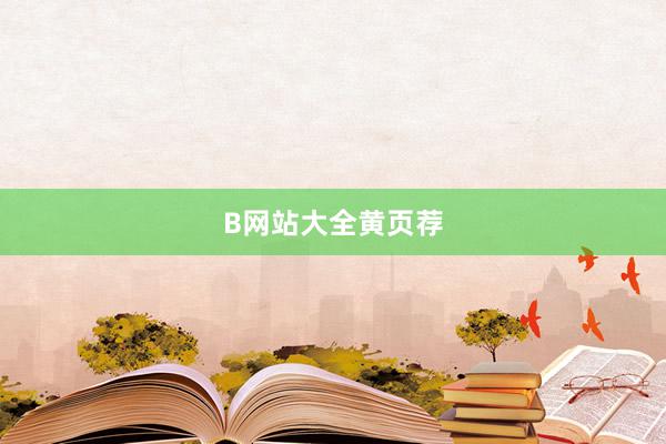 B网站大全黄页荐
